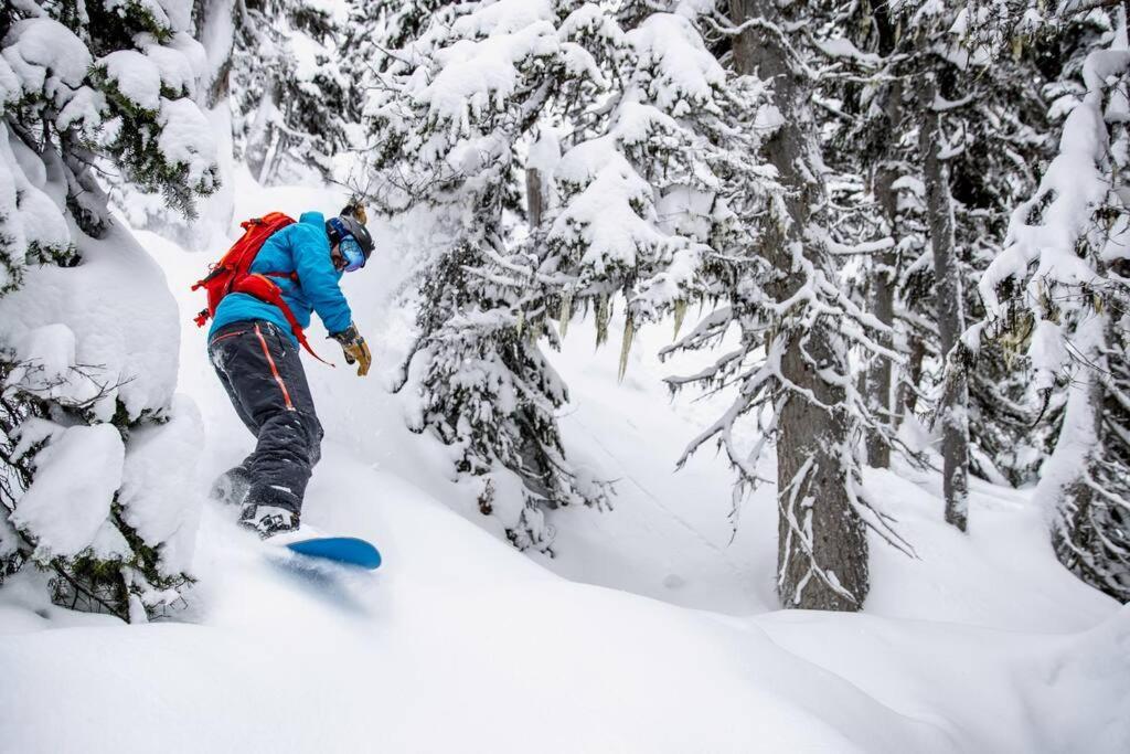 Ski In Ski Out With Huge Game Room And Hot Tub فيرني المظهر الخارجي الصورة